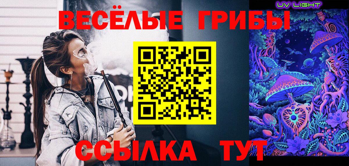 Псилоцибиновые грибы Cubensis Сарапул