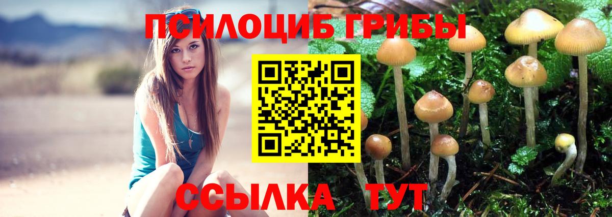 наркота  Галлюциногенные грибы MAGIC MUSHROOMS  Вход с VPN  Псилоцибиновые грибы Cubensis  Сарапул 